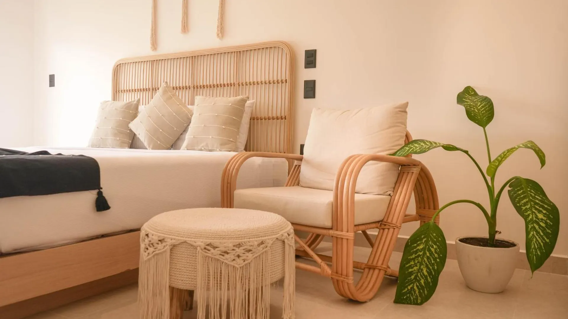 Hotel Macondo Quinta Avenida Residences Playa del Carmen