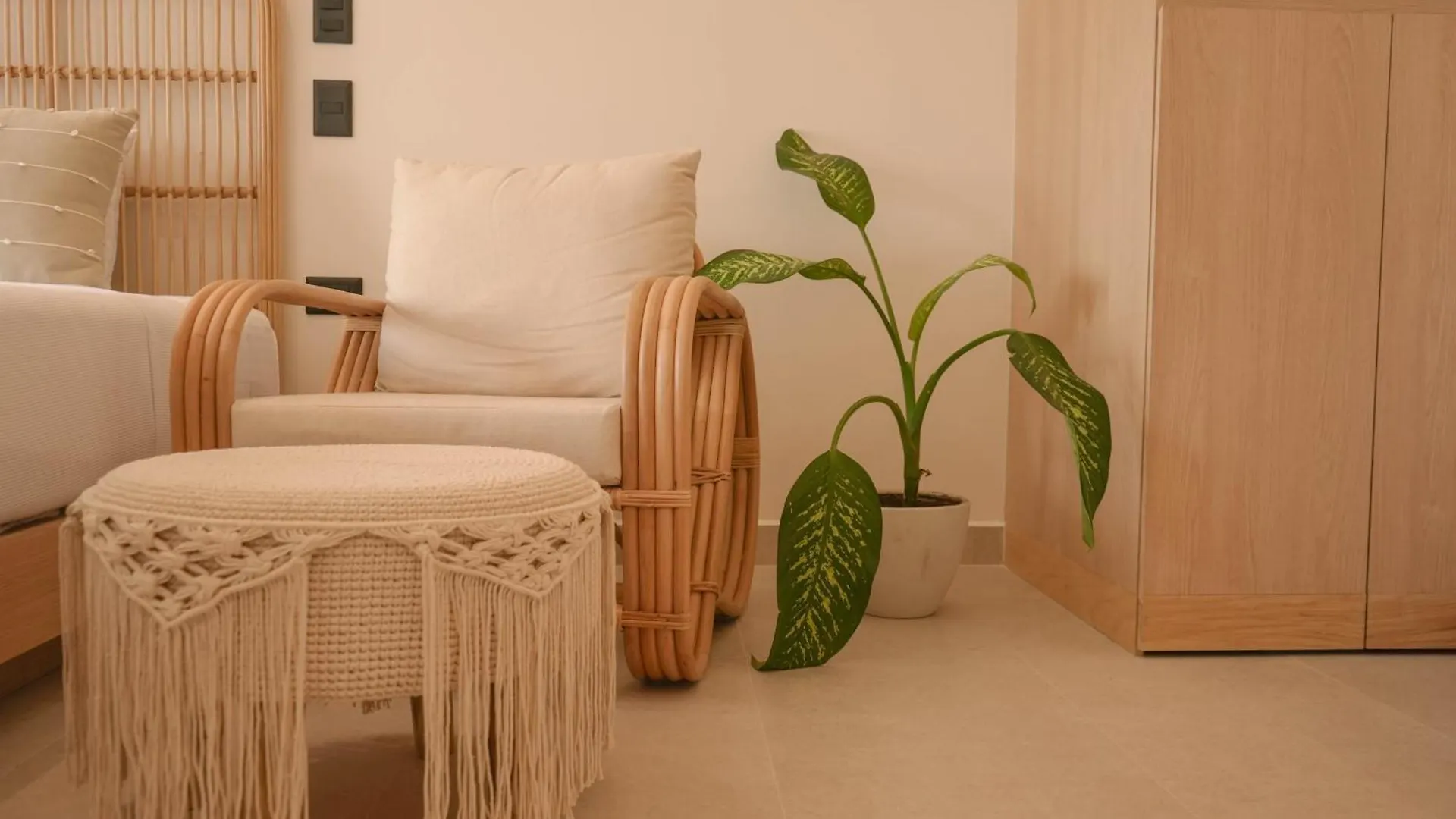 Macondo Quinta Avenida Residences プレヤデルカーメン ホテル