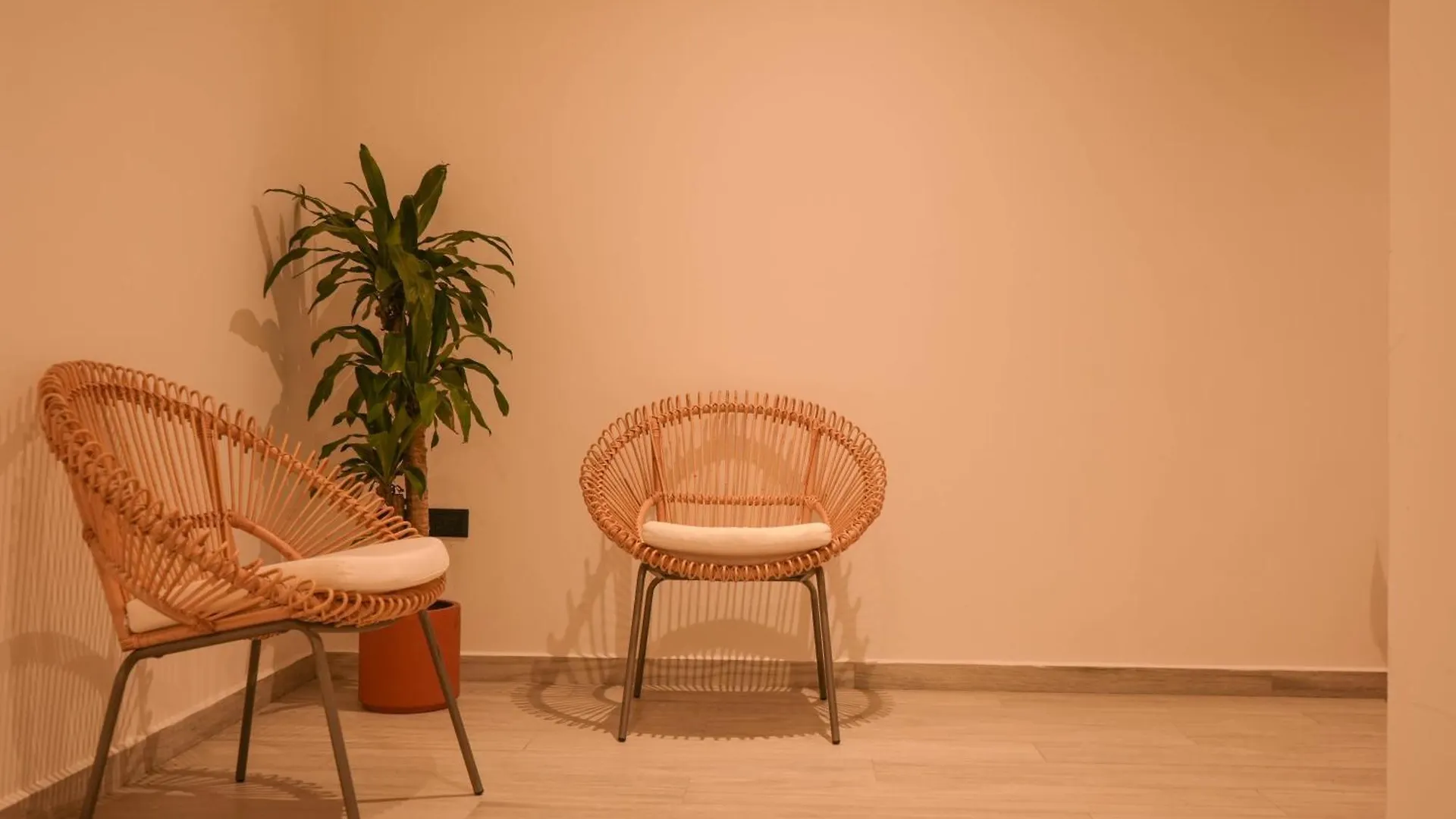 Macondo Quinta Avenida Residences プレヤデルカーメン ホテル
