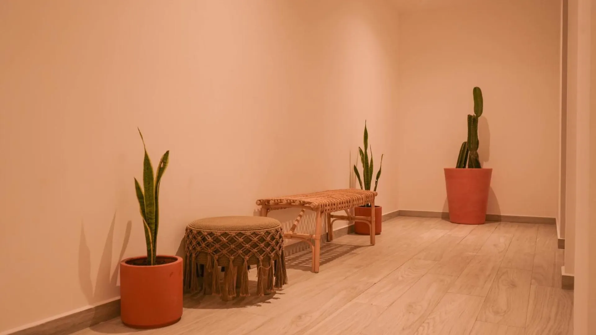 Macondo Quinta Avenida Residences プレヤデルカーメン ホテル