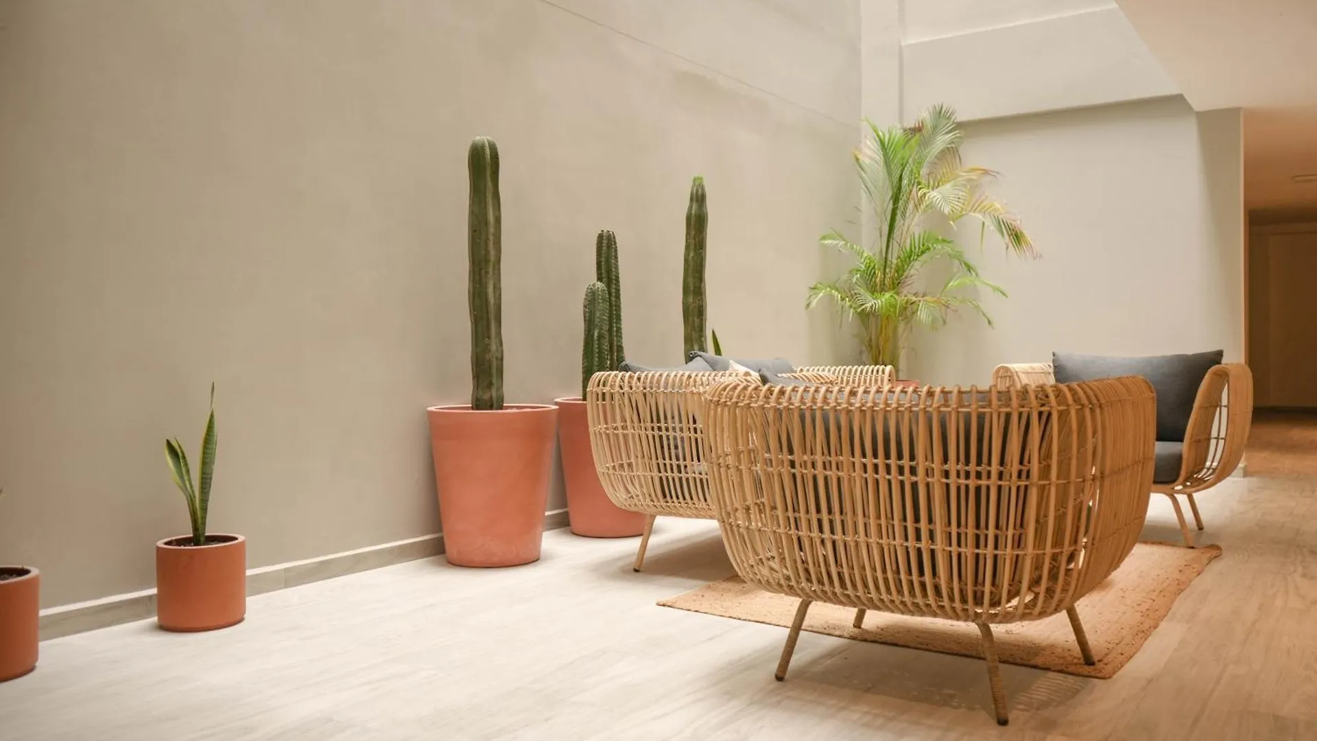 Macondo Quinta Avenida Residences プレヤデルカーメン