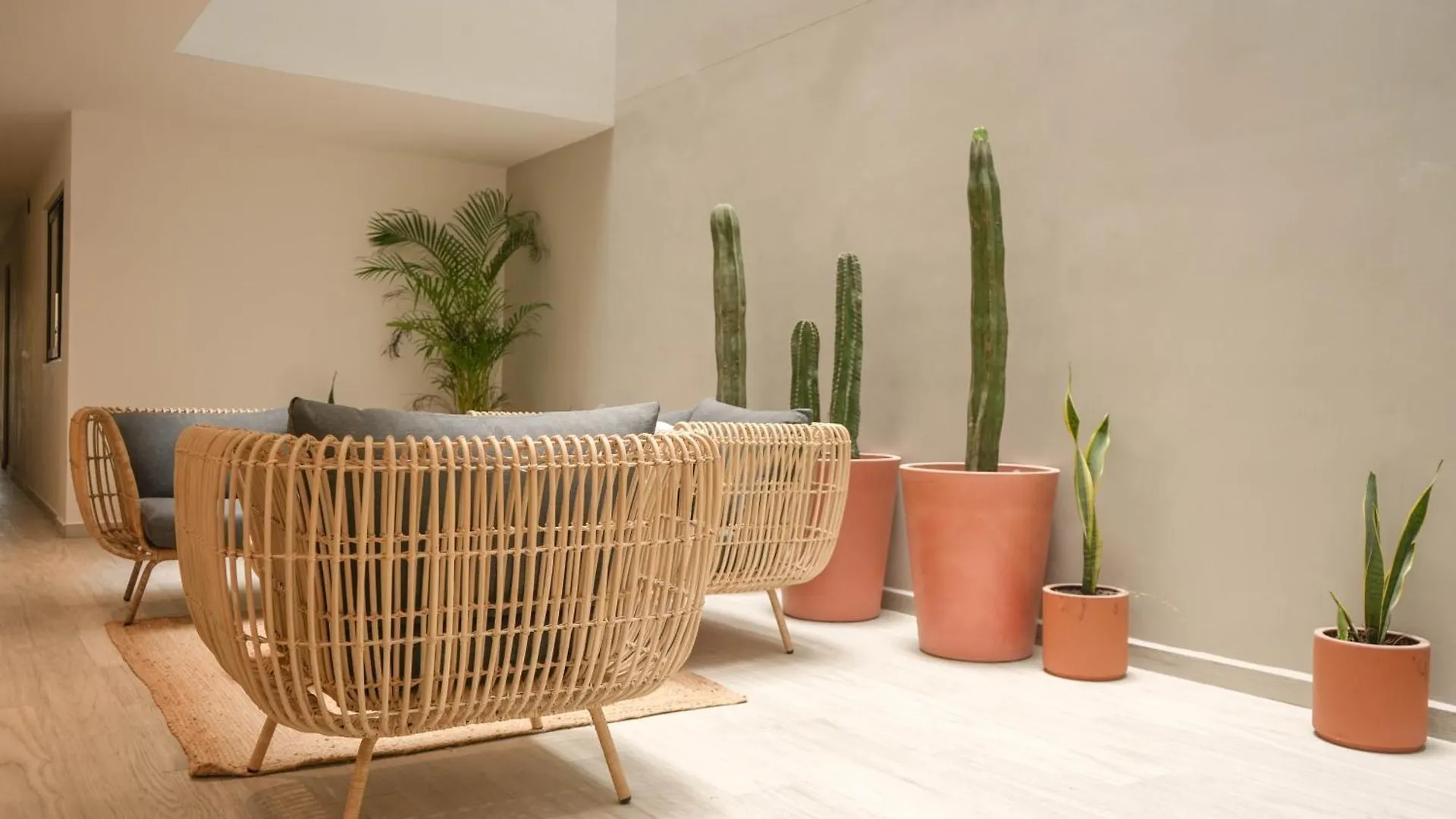 Macondo Quinta Avenida Residences プレヤデルカーメン メキシコ
